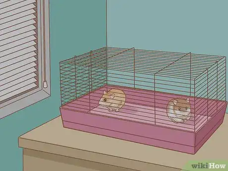 Image titled Introduce Two Dwarf Hamsters Step 11
