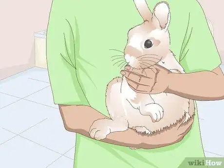 Image titled Keep Your Rabbit's Fur Clean and Untangled Step 10