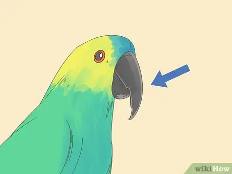 Image titled Know if Your Bird Is Sick Step 8