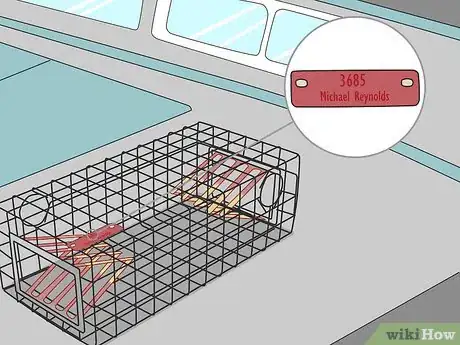 Image titled Catch Lobsters Step 8
