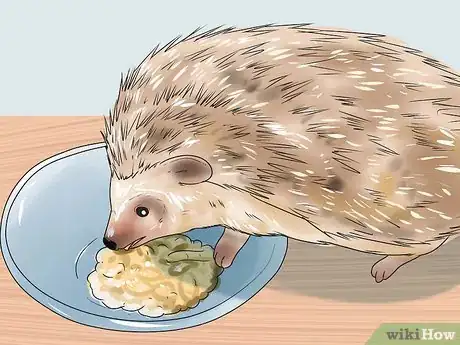Image titled React when Your Hedgehog Bites You Step 12