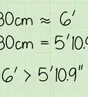 Convert Human Height in Centimeters to Feet