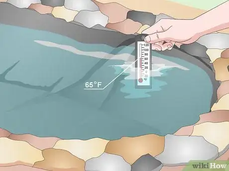 Image titled Build a Koi Fish Pond Step 12