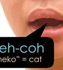 Say "Cat" in Japanese