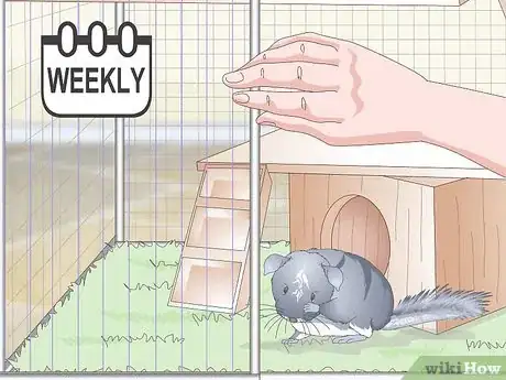Image titled Care for Chinchillas Step 14