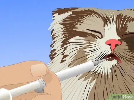 Image titled Treat a Cat's UTI Step 2