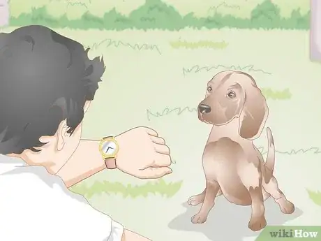 Image titled Teach Your Older Dog Basic Commands Step 3