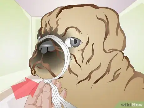 Image titled Apply a Gauze Muzzle to a Dog Step 10