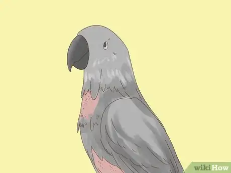 Image titled Know if Your Bird Is Sick Step 4