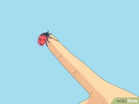 Image titled What Does It Mean when a Ladybug Lands on You Step 1