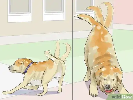 Image titled Gain Trust in an Aggressive Dog Step 17