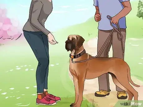 Image titled Improve Your Dog's Show Ring Gait Step 9