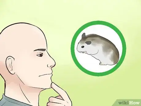 Image titled Know if a Hamster Is Right for You Step 3
