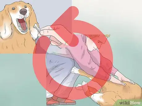 Image titled Train a Stubborn Dog Step 3