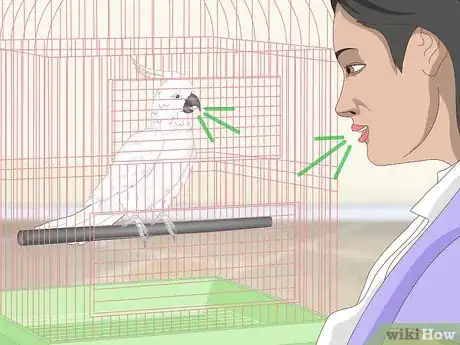 Image titled Bond with a Cockatoo Step 3