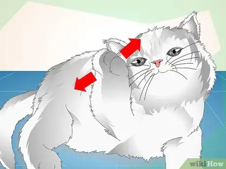 Image titled Check Cats for Ear Mites Step 2