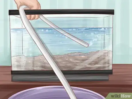 Image titled Keep Your Fish from Dying Step 1