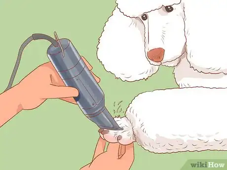Image titled Full Scissor a Poodle by Hand Step 17