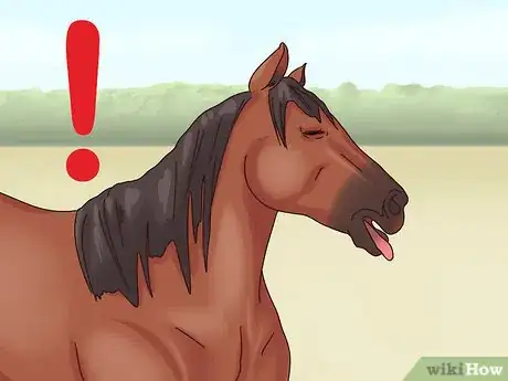 Image titled Help a Horse With Choke Step 1