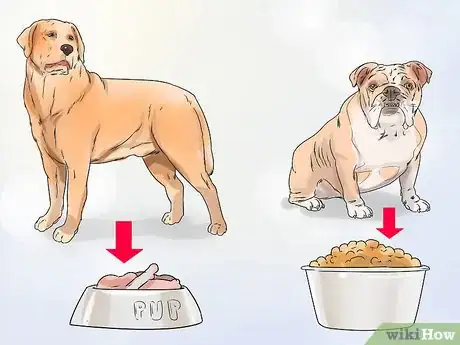 Image titled Feed Your Dog Naturally Step 14