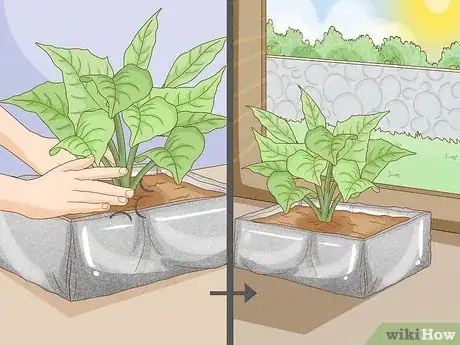 Image titled Use Aluminum Foil for Gardening Step 13