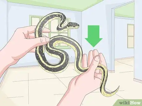 Image titled Tame Snakes Step 9