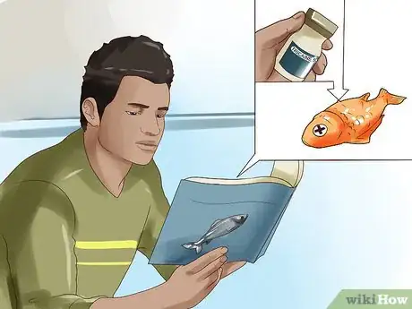 Image titled Humanely Kill a Fish Step 5