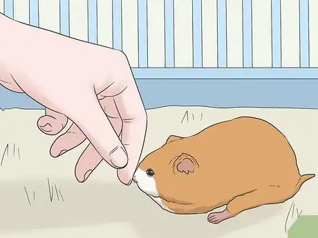 Image titled Hold a Hamster Step 2