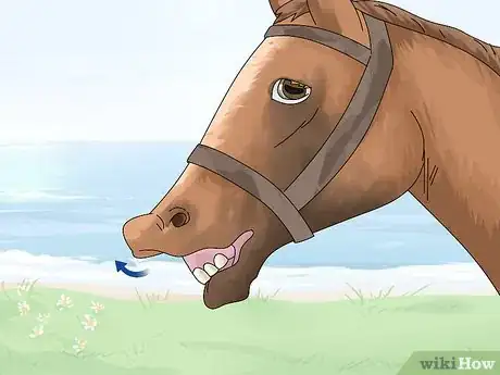 Image titled Tell if a Horse Is Frightened Step 3