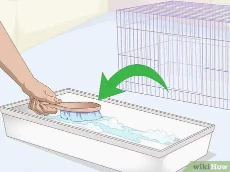 Image titled Supervise Hamsters Outside of the Cage Step 6