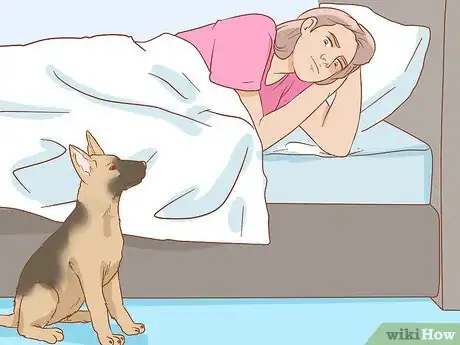 Image titled Stop Your Dog from Waking You Up at Night Step 8
