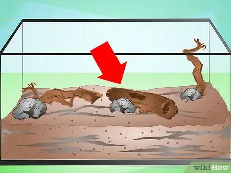 Image titled Make a Millipede Habitat Step 3