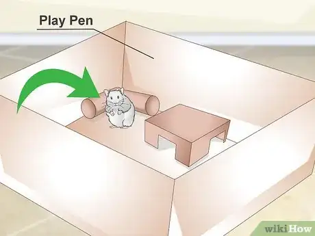 Image titled Supervise Hamsters Outside of the Cage Step 9