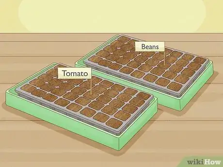Image titled Plant Seeds in a Basic Seed Tray Step 11