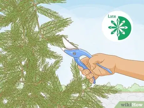 Image titled Prune Evergreen Trees Step 13