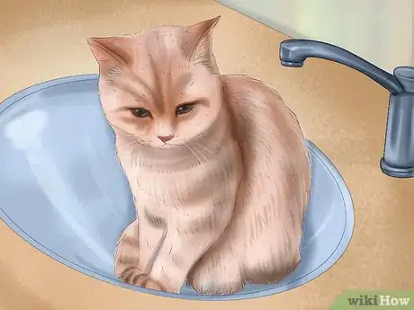 Image titled Bathe a Cat Step 22