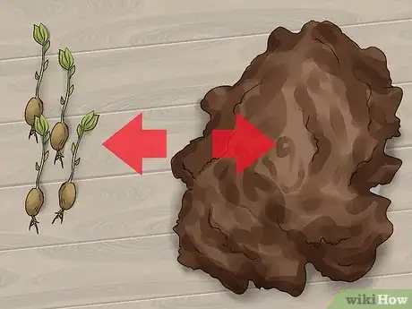Image titled Plant Apple Seeds Step 11