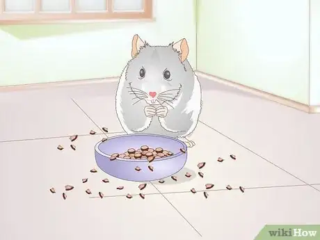 Image titled Diagnose Hamster Dental Problems Step 3