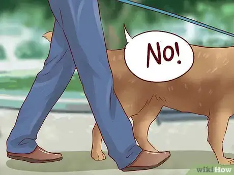 Image titled Teach Your Dog Basic Commands Step 22