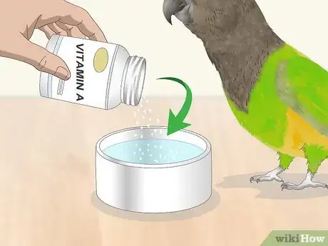 Image titled Spot Beak Problems in a Senegal Parrot Step 11