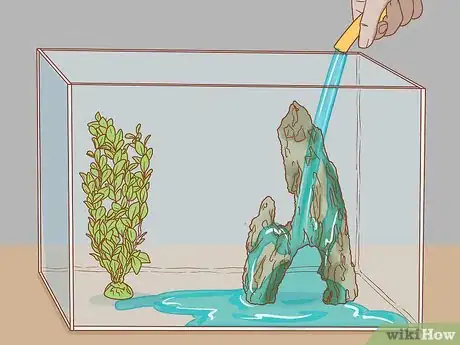 Image titled Sanitize a Fish Tank Step 12