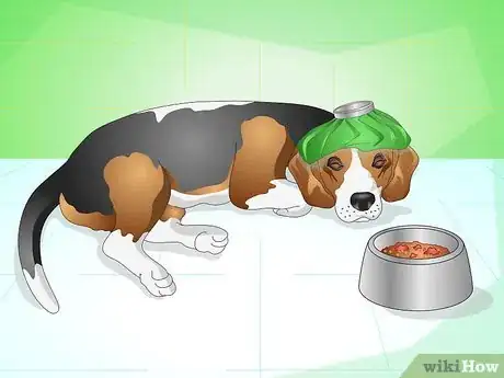 Image titled Get Your Dog to Eat the Dog Food It Does Not Like Step 13