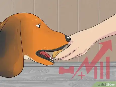 Image titled Feed a Pregnant Dog Shortly Before Labor Step 7