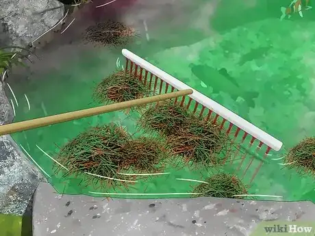 Image titled Remove Algae from a Pond Without Harming Fish Step 10