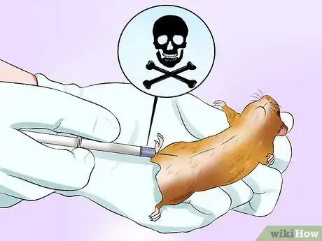 Image titled Euthanize a Sick Hamster Step 9