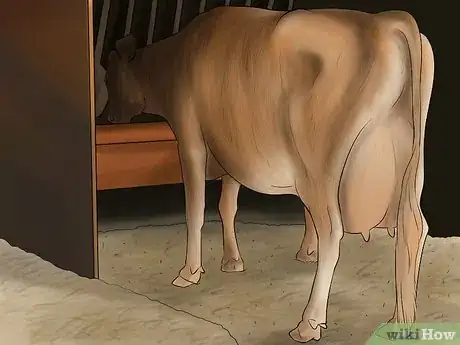 Image titled Milk a Cow With a Milking Machine Step 3