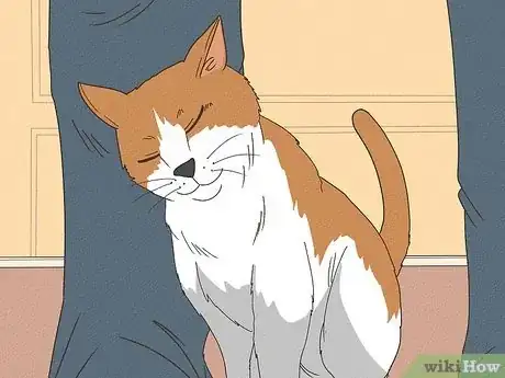 Image titled Why Do Cats Rub Against You Step 2
