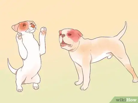 Image titled Determine Your Dog's Breed Step 9