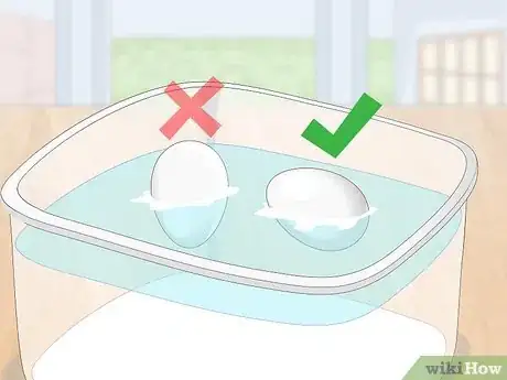 Image titled Tell if Duck Eggs Are Dead or Alive Step 11