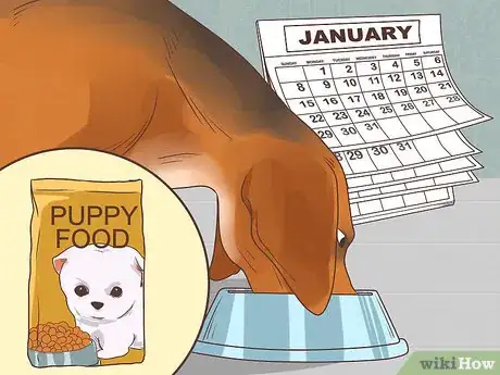Image titled Feed a Pregnant Dog Shortly Before Labor Step 5